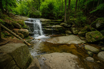 small waterfall in the mountain forest 