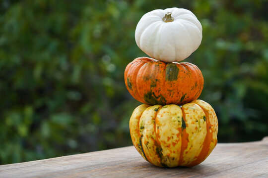 Composition of yellow, orange and white pumpkins arranged in stack on a wooden table with natural background