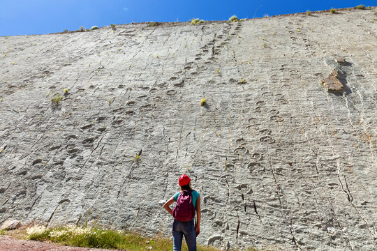 Girl tourist looks at the fossilized footprints of dinosaurs on the rock. Cal Orko is a natural paleontological monument in Bolivia. Sucre