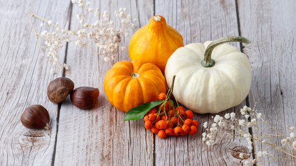 Autumn holiday still life with pumpkins, chestnut nuts and pyracantha berries on aged wooden background with copy space.