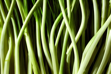 fresh green onions, farm produce, healthy food, green groceries