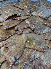 limande sole