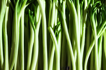 fresh green onions, farm produce, healthy food, green groceries