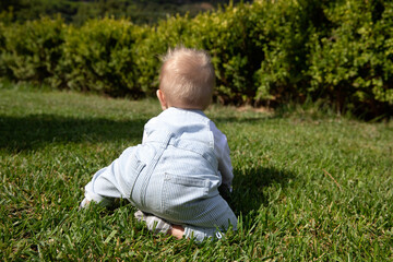 Happy little boy crawling in the grass