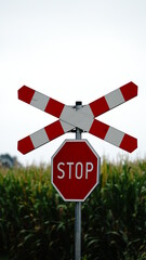 Znak drogowy stop, przejazd kolejowy, przejazd przez tory. Stop sign. - obrazy, fototapety, plakaty