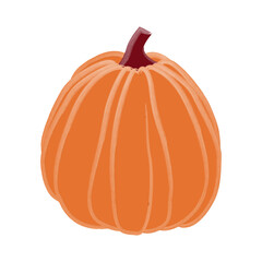 Pumpkin isolated flat vegetable,  icon for autumn fall, cartoon Autumn design. Halloween designs