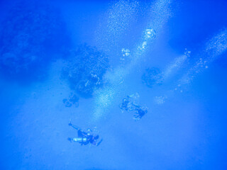 Fototapeta na wymiar divers in the blue deep of the red sea in egypt