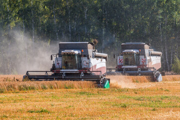 Fototapeta premium Modern combine harvesters working in the field