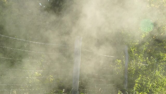 Mist rises in the sunbeams in front of a wire fence