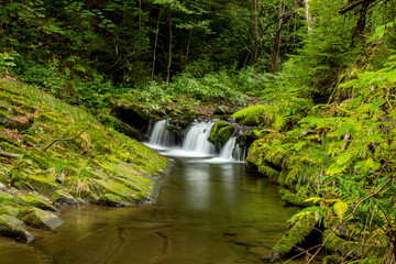 Obraz premium Waterfalls on a mountain stream in the forest at the beginning of autumn