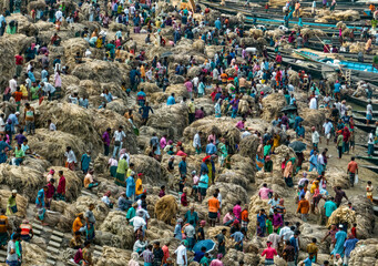 Wholesale jute market in Jamalpur, Bangladesh