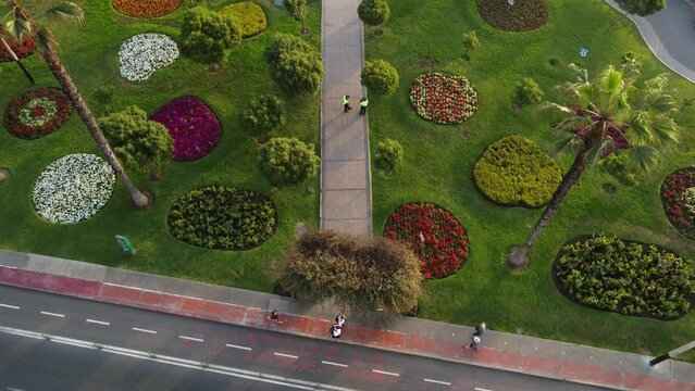 Drone 4k video of "Parque del amor" park in Miraflores district of Lima, Peru. Drone tilts up to show green grass, palm trees and flowers, a statue of couple kissing and ocean waves in the background.