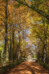Vertical view of path with fountain in garden with autumn trees in Aranjuez, Spain