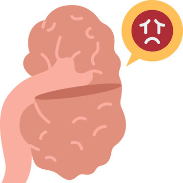 Kidney Icon