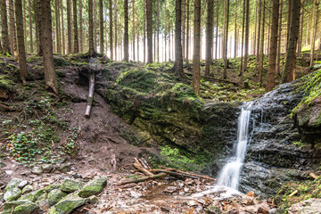 kleiner Wasserfall im Wald