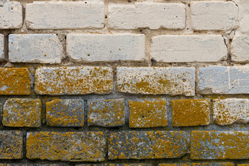 fragment of a brick wall covered with mold