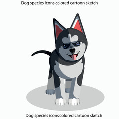 Dog species icons colored cartoon sketch
