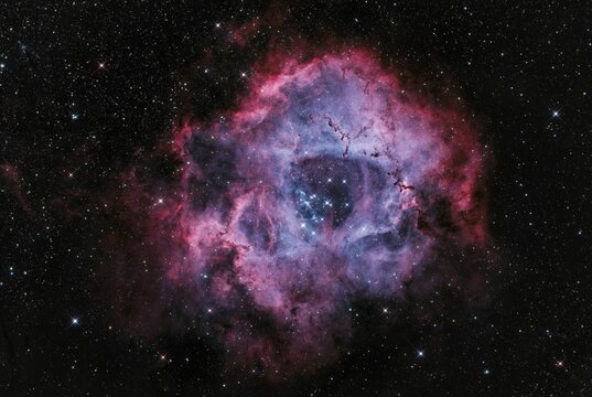 Beautiful shot of the colored rosette nebula in a starry galaxy sky