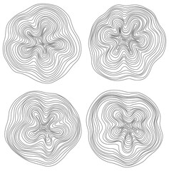 Abstract tree rings. Png topographic map concept. Seamless background. Thin black lines on white