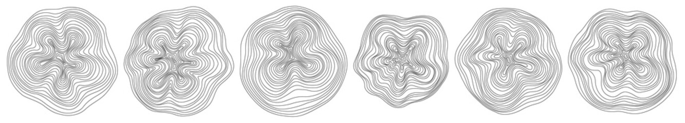 Abstract tree rings. Png topographic map concept. Seamless background. Thin black lines on white