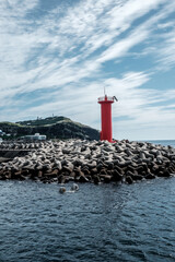 red lighthouse in the marina on the breakwater