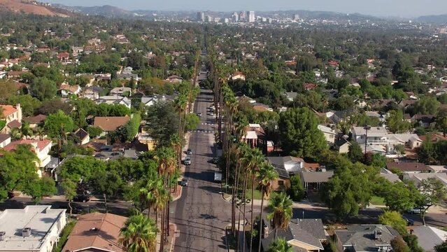 Burbank, California USA, Flying Above Palm Trees and Homes on Sunny Evening, Drone Aerial View