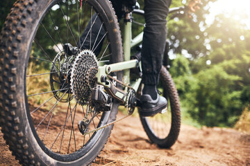 Bicycle, forest and wheels on a dirt road trail for fitness, adventure workout and exercise....