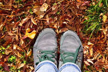 Women's feet in blue-green suede boots on the background of autumn leaves, top view