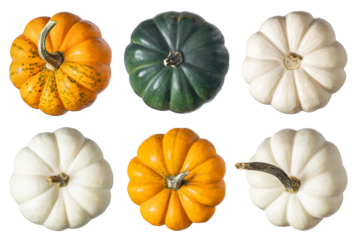 Whole pumpkins isolated on white background. Clipping Path. Full Depth of field. Focus stacking. Top view