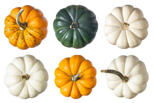 Whole pumpkins isolated on white background. Clipping Path. Full Depth of field. Focus stacking. Top view