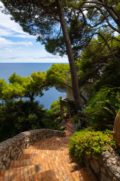 Idyllic garden on the steep coast of Capri island Italy. View from a scenic footpath with view point on a sunny summer day with typical plants and vegetation an Mediterranean Sea in the background.