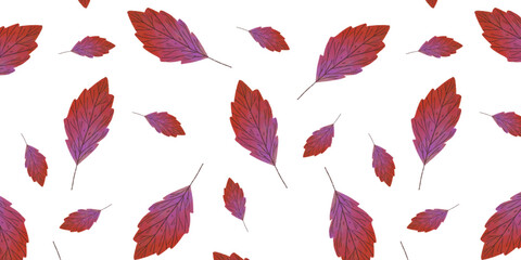  Leaf Border. Organic, design element. Product of beauty. Leaf falls on white long banner. Wavy leaf ornament, fall theme