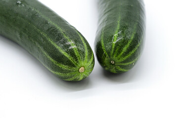 isolated cucumber on white background