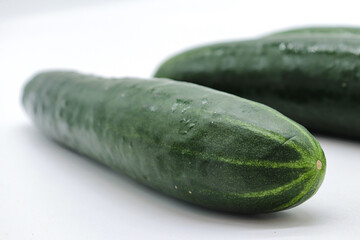 isolated cucumber on white background