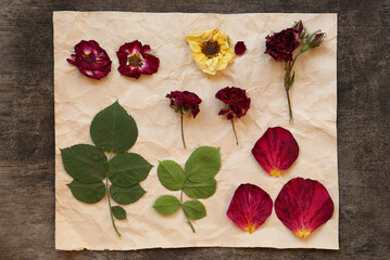 Paper with beautiful flowers, leaves and petals prepared for drying on table, flat lay
