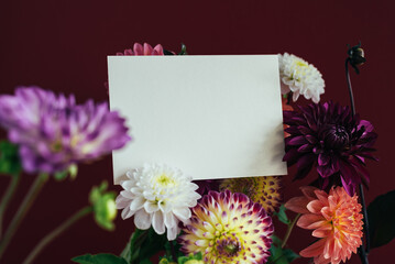 Obraz premium Beautiful dahlia background mockup with a white gift card in the middle.