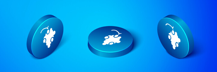 Isometric Grape fruit icon isolated on blue background. Blue circle button. Vector