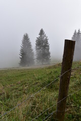 Wolken-Nebel-Alpen-Wald-Zaun