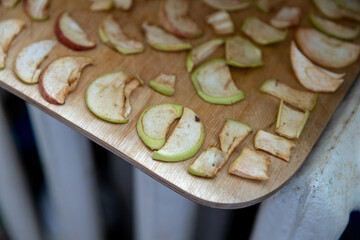Sliced pieces of apples are laid out on a cutting board and dried on a radiator. Dried apples