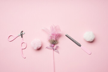 A set for trimming pet claws: a file and a nail cutter, feathers toy, fur pom-poms. Pink cat nail clipper.