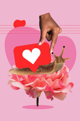 Picture collage of little snail crawl big rose petal with like heart shell on heart painted pink...