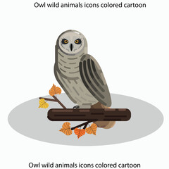 Owl wild animals icons colored cartoon sketch