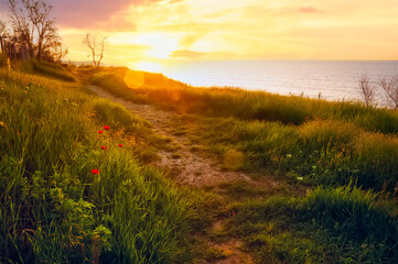 Dawn on the wild sea coast.