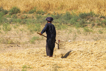 Peasant works in the field