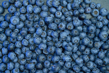 Vegan mock-up background. Fresh blueberry flat lay. Blueberries ready to eat snack concept.