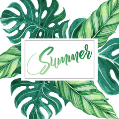 Summer lettering design in a colorful green and purple palm tree leaves
