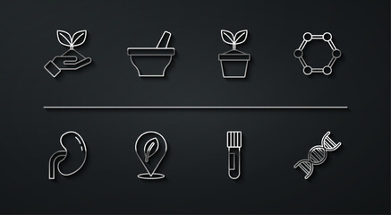 Set line Plant in hand, Human kidney, Molecule, Test tube flask, Location with leaf, Mortar pestle, DNA symbol and pot icon. Vector
