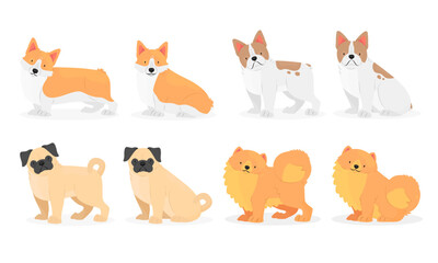 Collection of dog breeds Pug, Pomeranian, French bulldog, Welsh corgi. Vector isolated animal illustration.