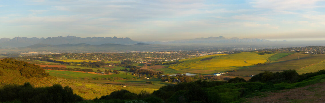 View Over The South African Cape Winelands