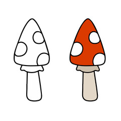 Poisonous mushroom. Fly agaric with red cap.